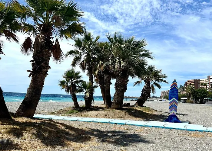 Relax Tropical * Альмуньекар